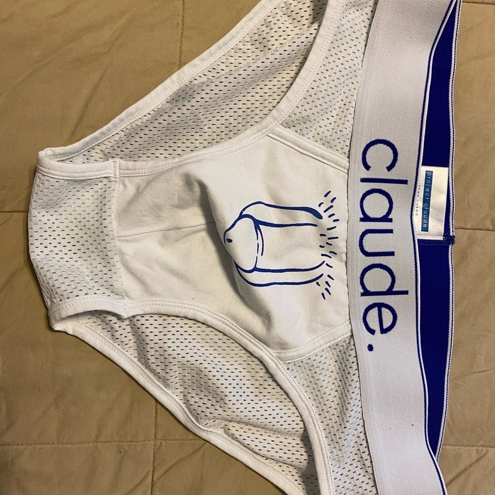 Project Claude briefs from Australia.